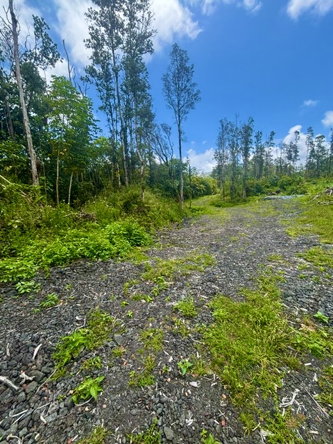 Nanawale Farms Rd Property Photo 16