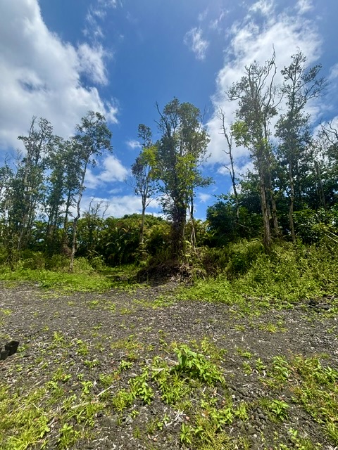 Nanawale Farms Rd Property Photo 17