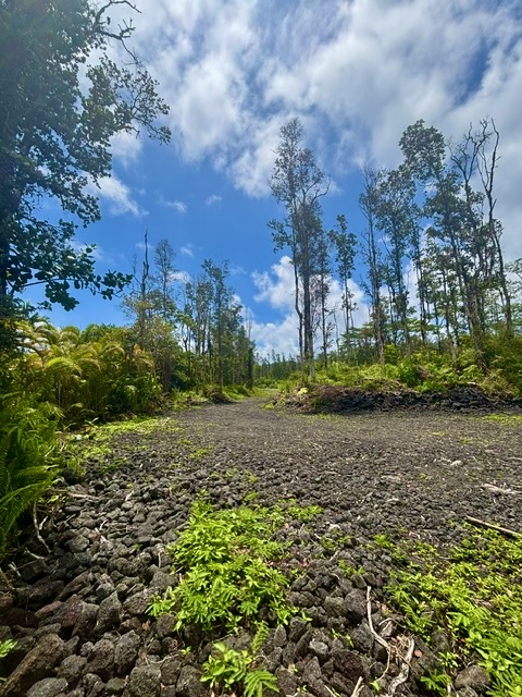 Nanawale Farms Rd Property Photo 18