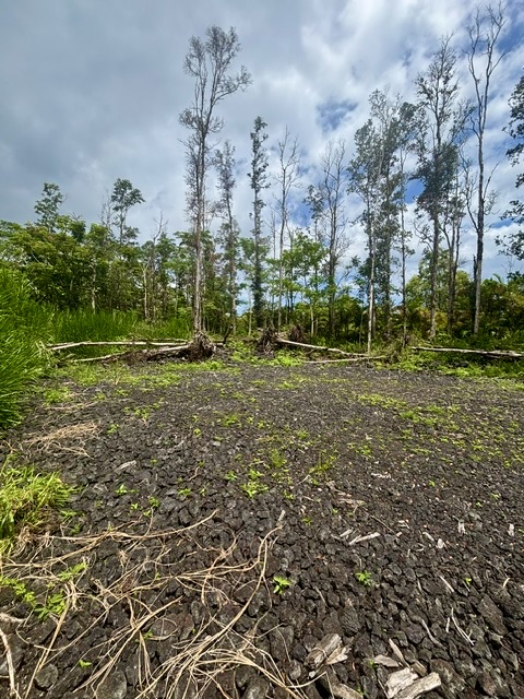 Nanawale Farms Rd Property Photo 19
