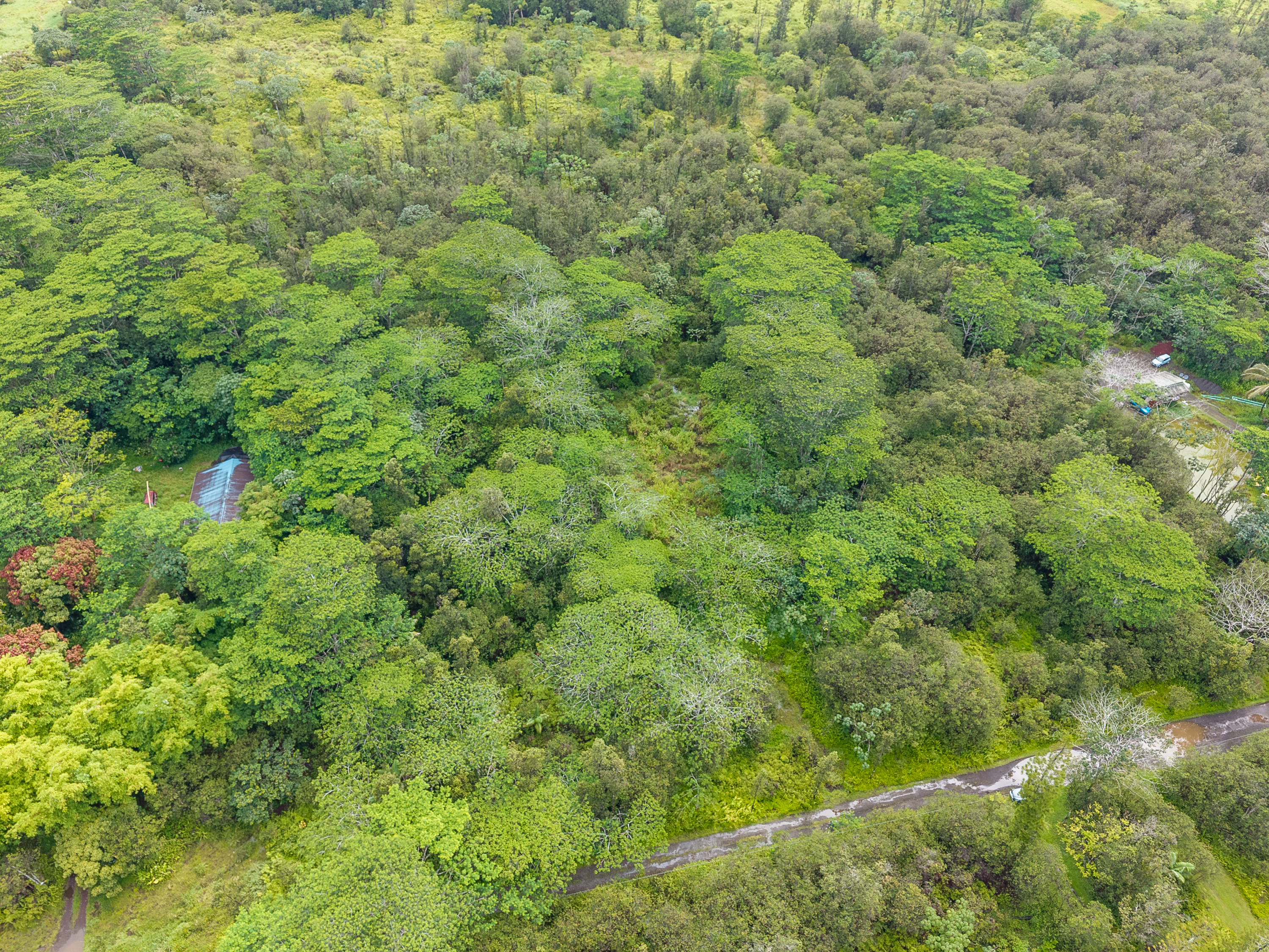 Road 10 (poouli) Property Photo 6