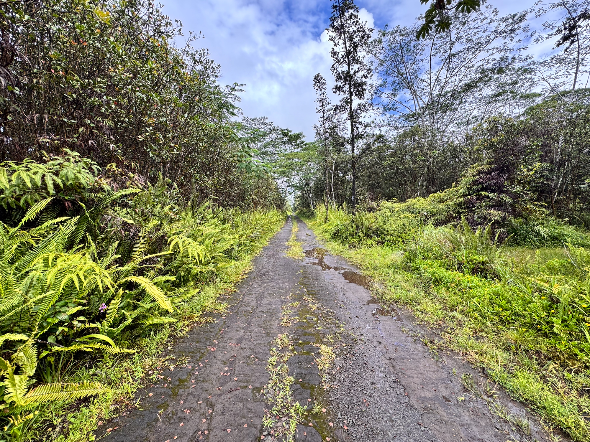 Road 10 (poouli) Property Photo 12
