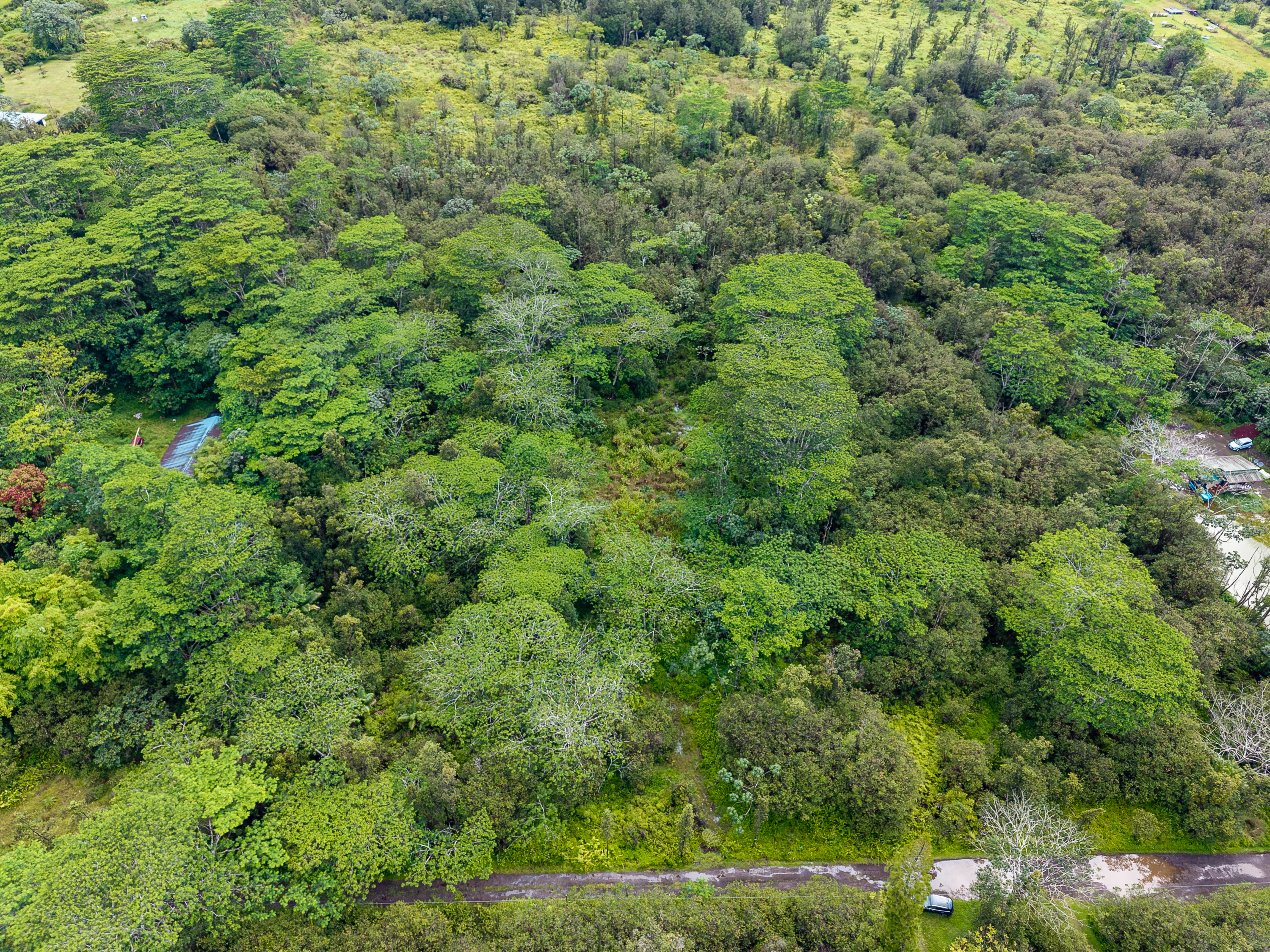 Road 10 (poouli) Property Photo 13