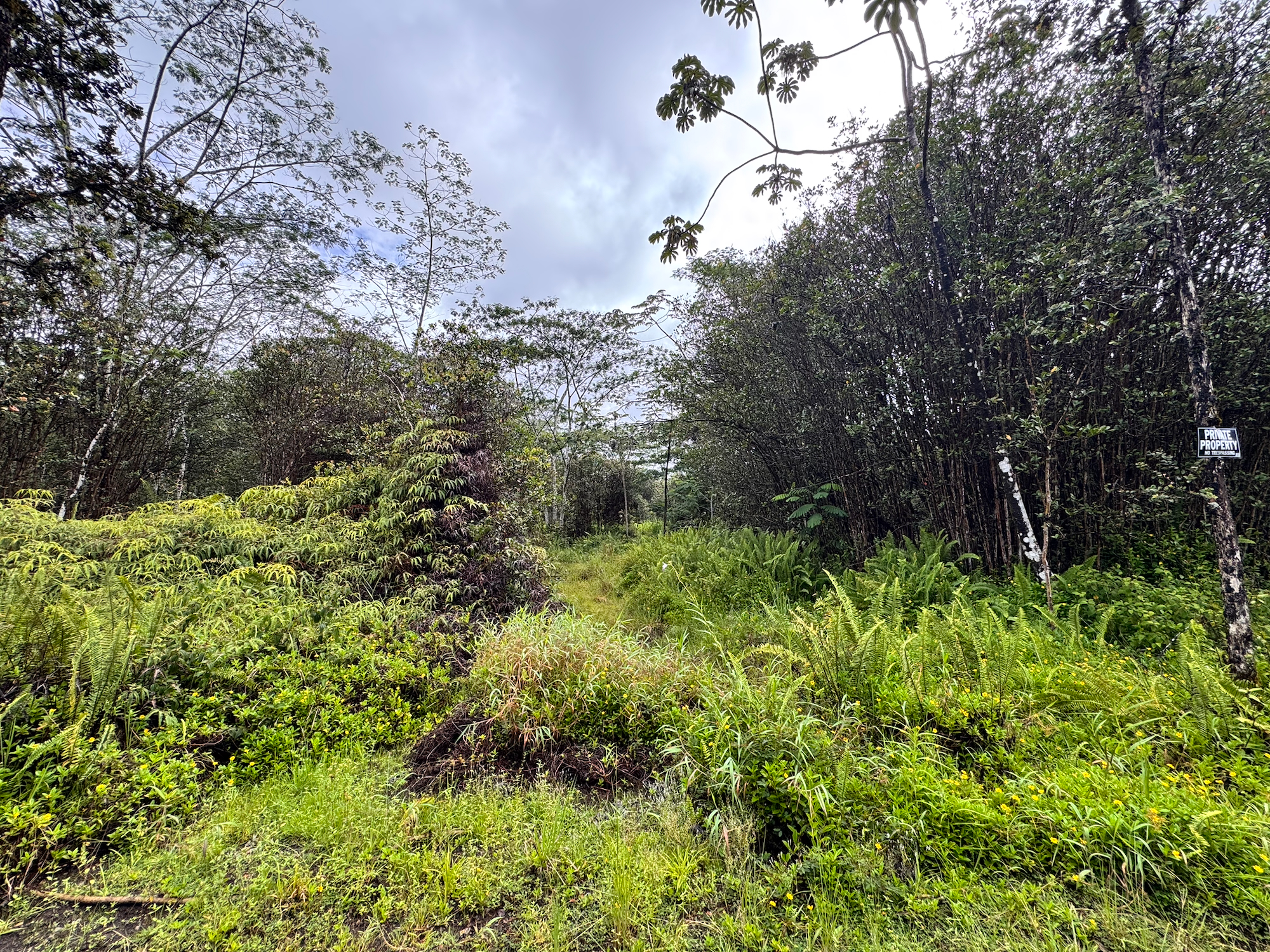 Road 10 (poouli) Property Photo 14