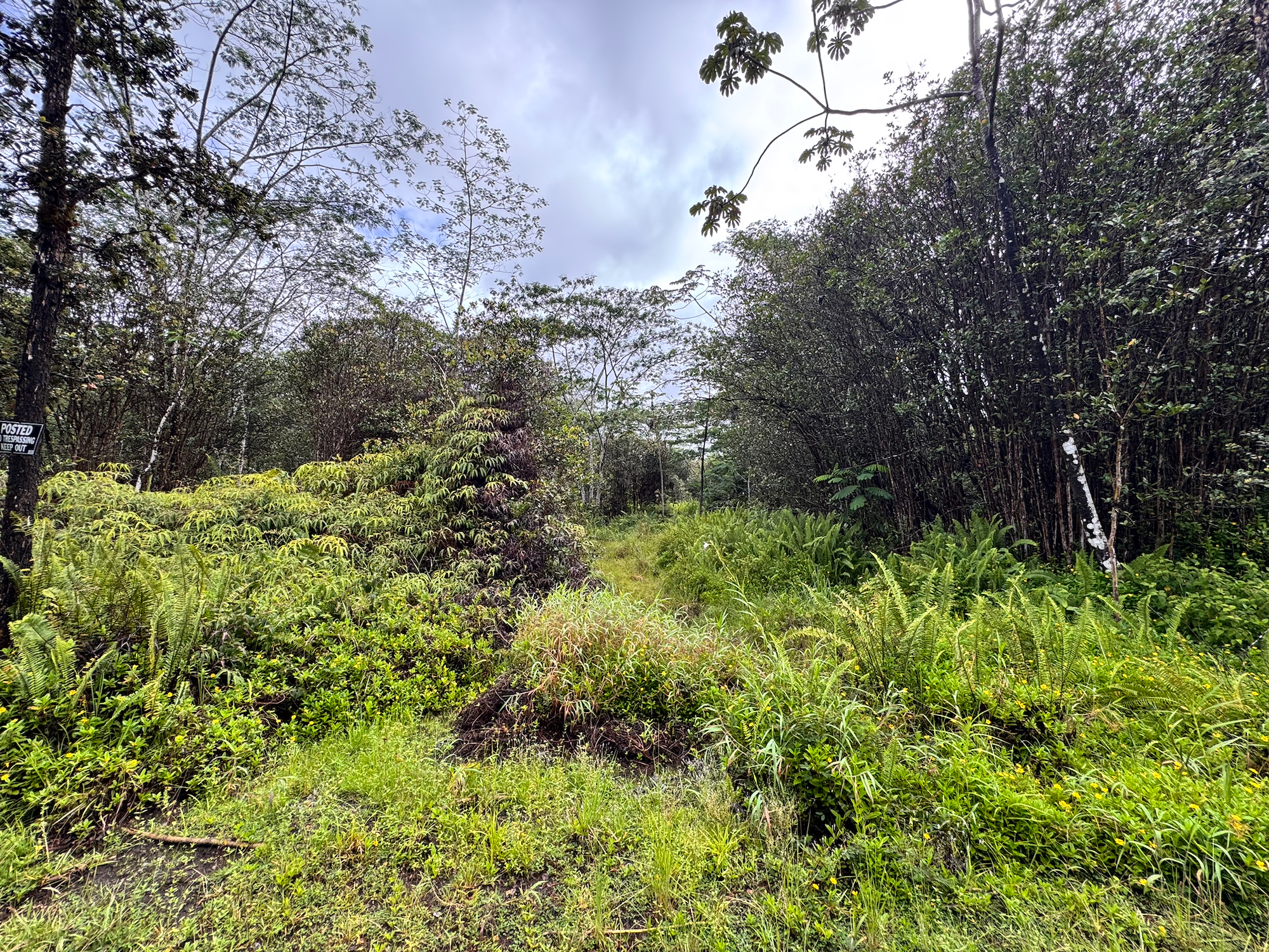 Road 10 (poouli) Property Photo 15