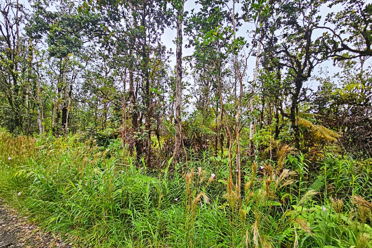 Paniolo St Lot 32 Property Photo 1