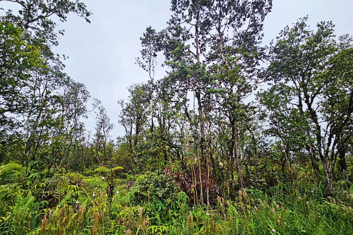 Paniolo St Lot 32 Property Photo 4