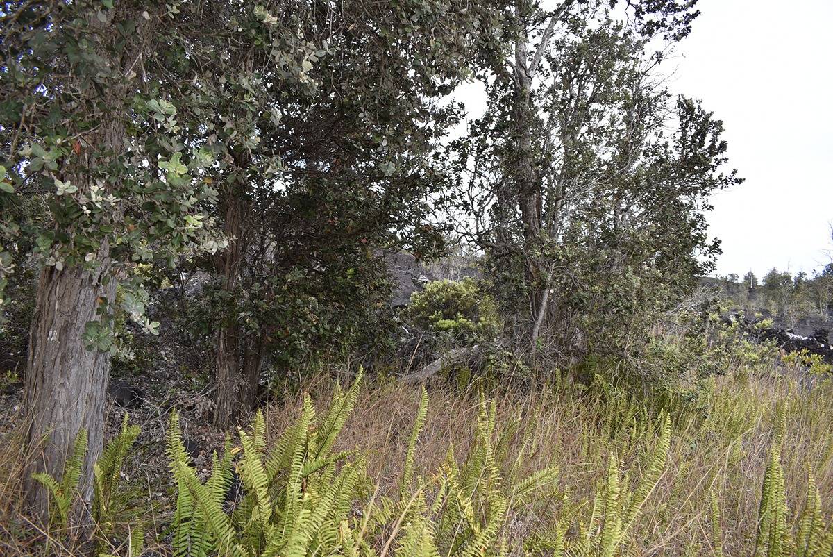 Catamaran Ln Property Photo 9