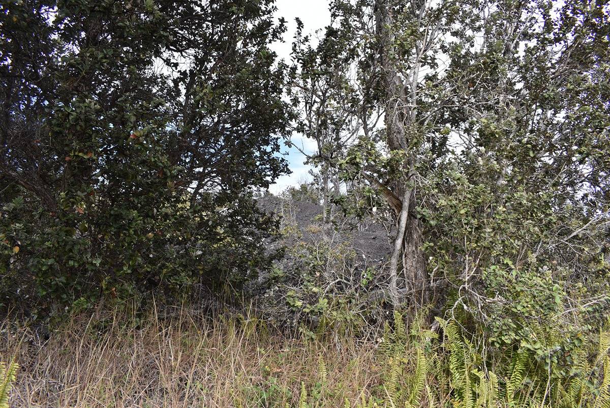 Catamaran Ln Property Photo 10