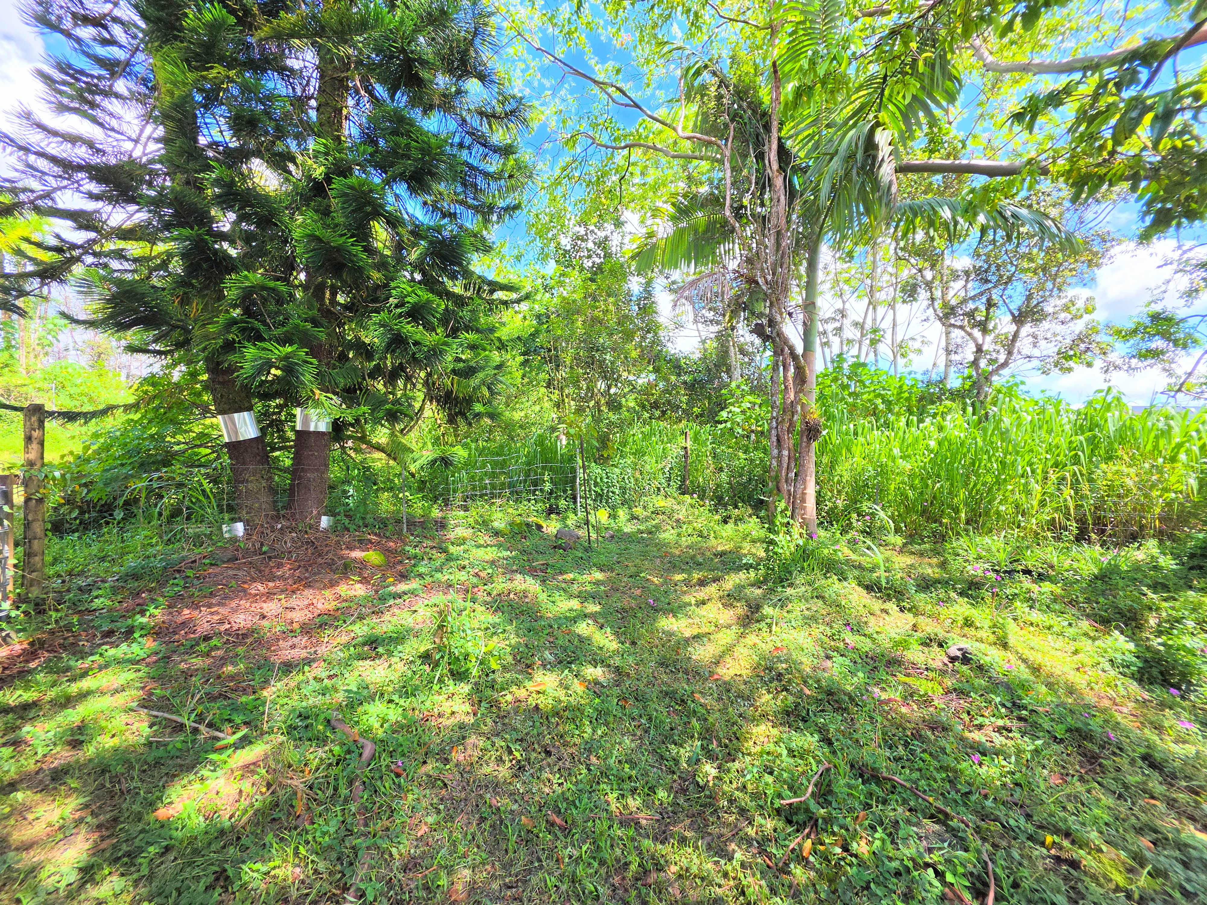 16-541 Aulii St Property Photo 21