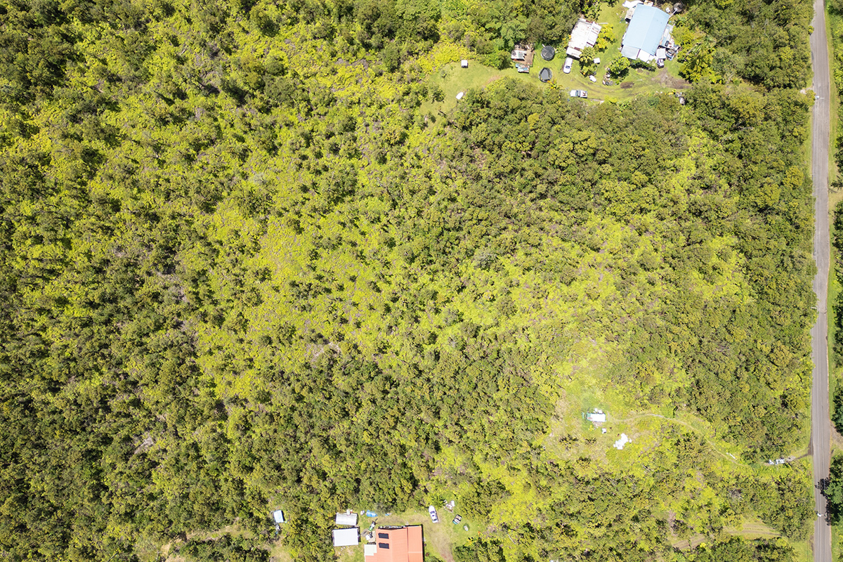Hibiscus St Property Photo 3