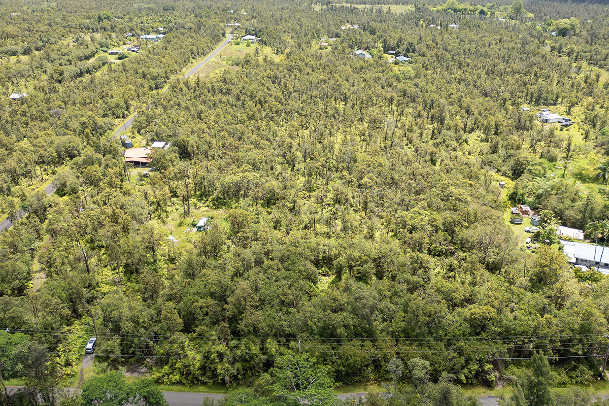 Hibiscus St Property Photo 4