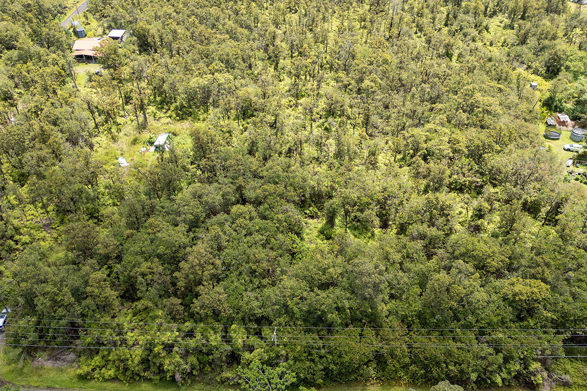 Hibiscus St Property Photo 5