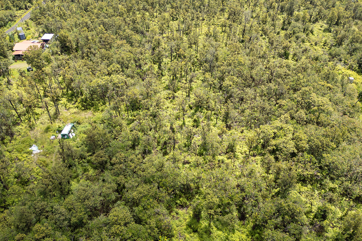 Hibiscus St Property Photo 6
