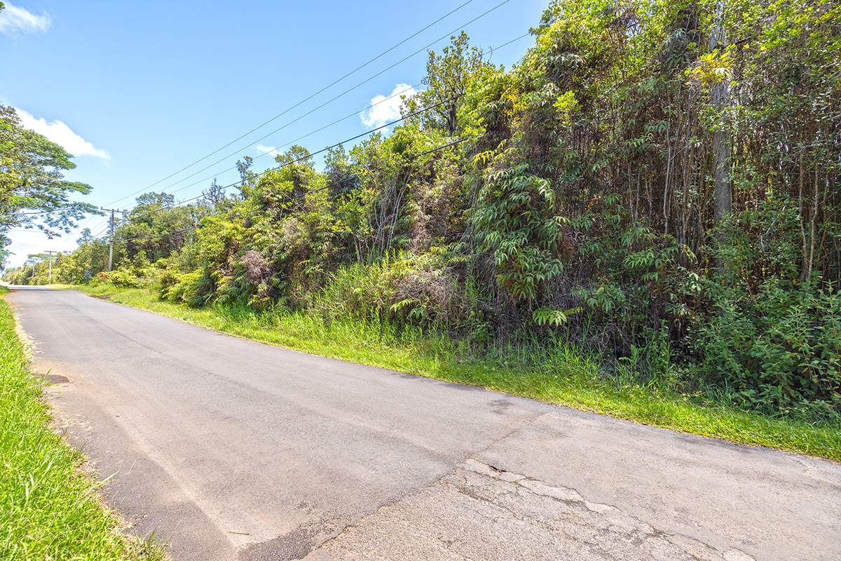Hibiscus St Property Photo 9