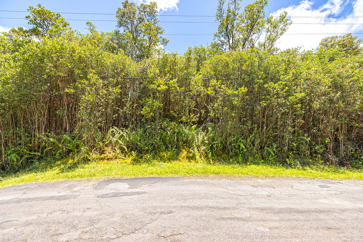 Hibiscus St Property Photo 14