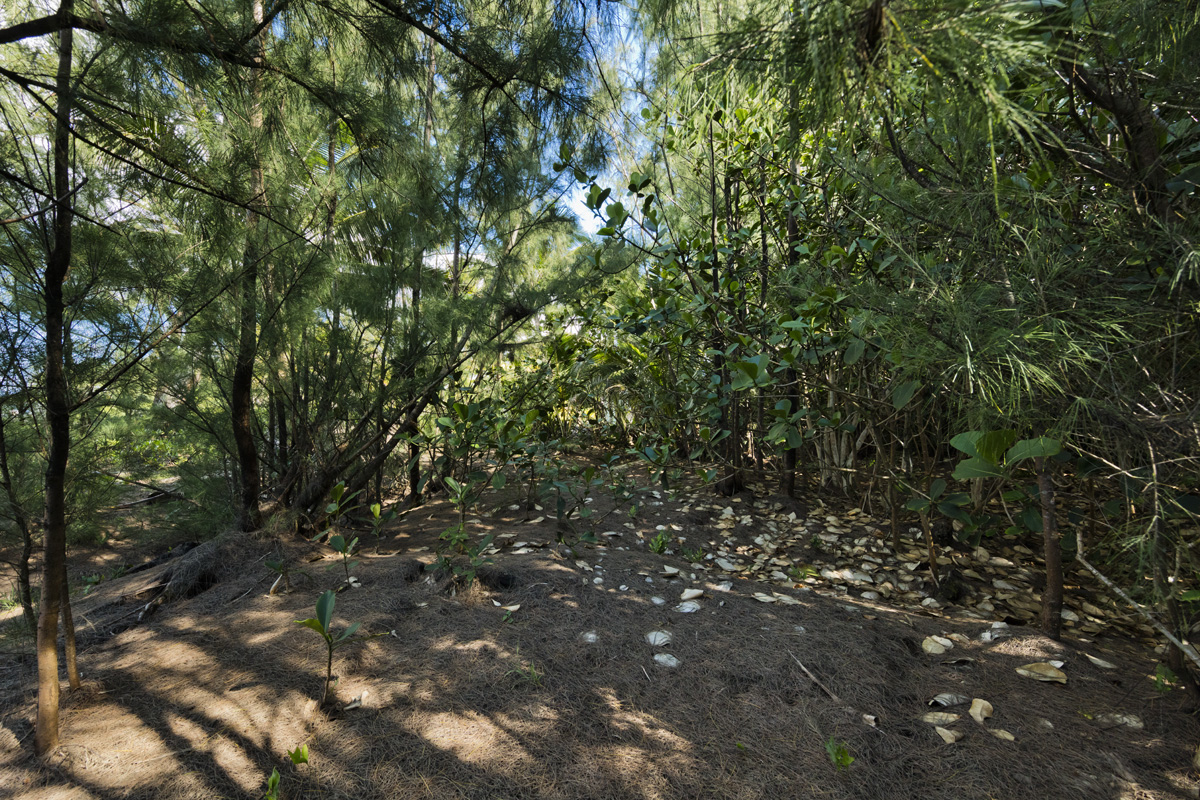 1st Ave Property Photo 25