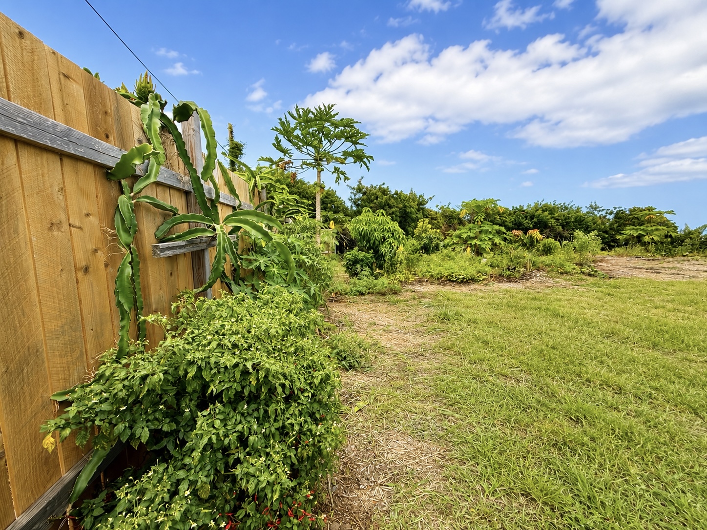 94-6479 Puukani Rd Property Photo 16