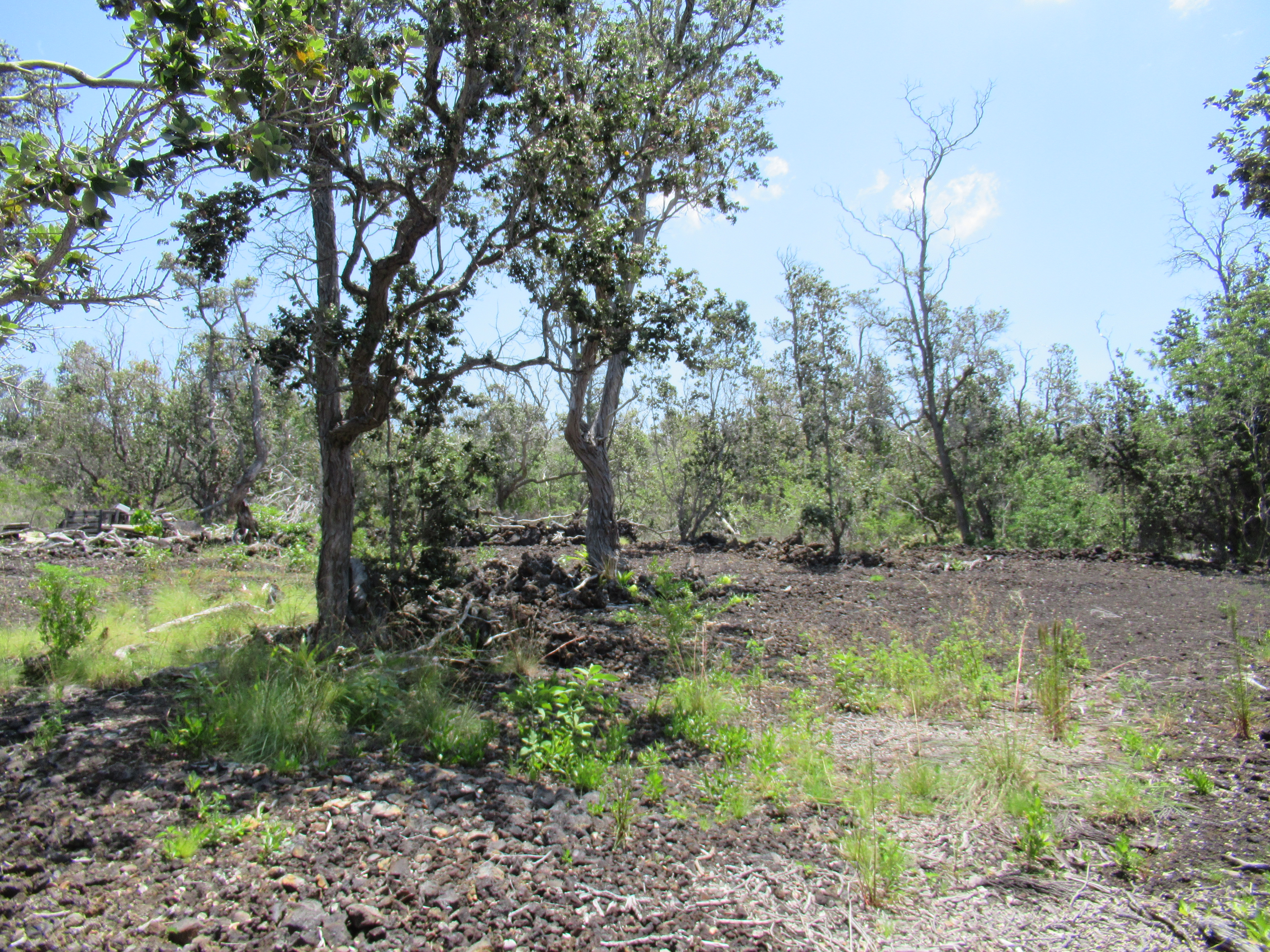 Kona Kai Blvd Property Photo 1