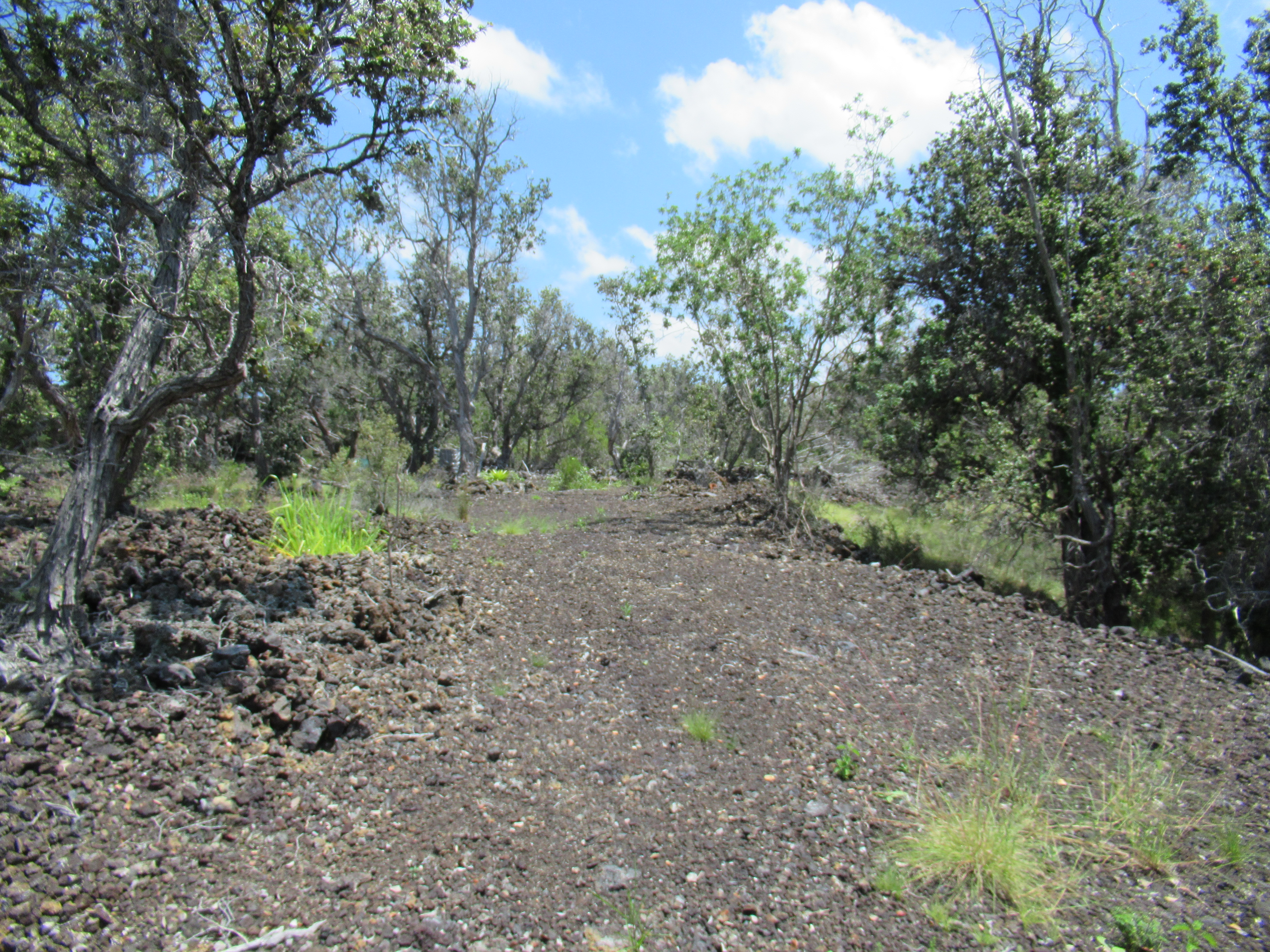 Kona Kai Blvd Property Photo 4