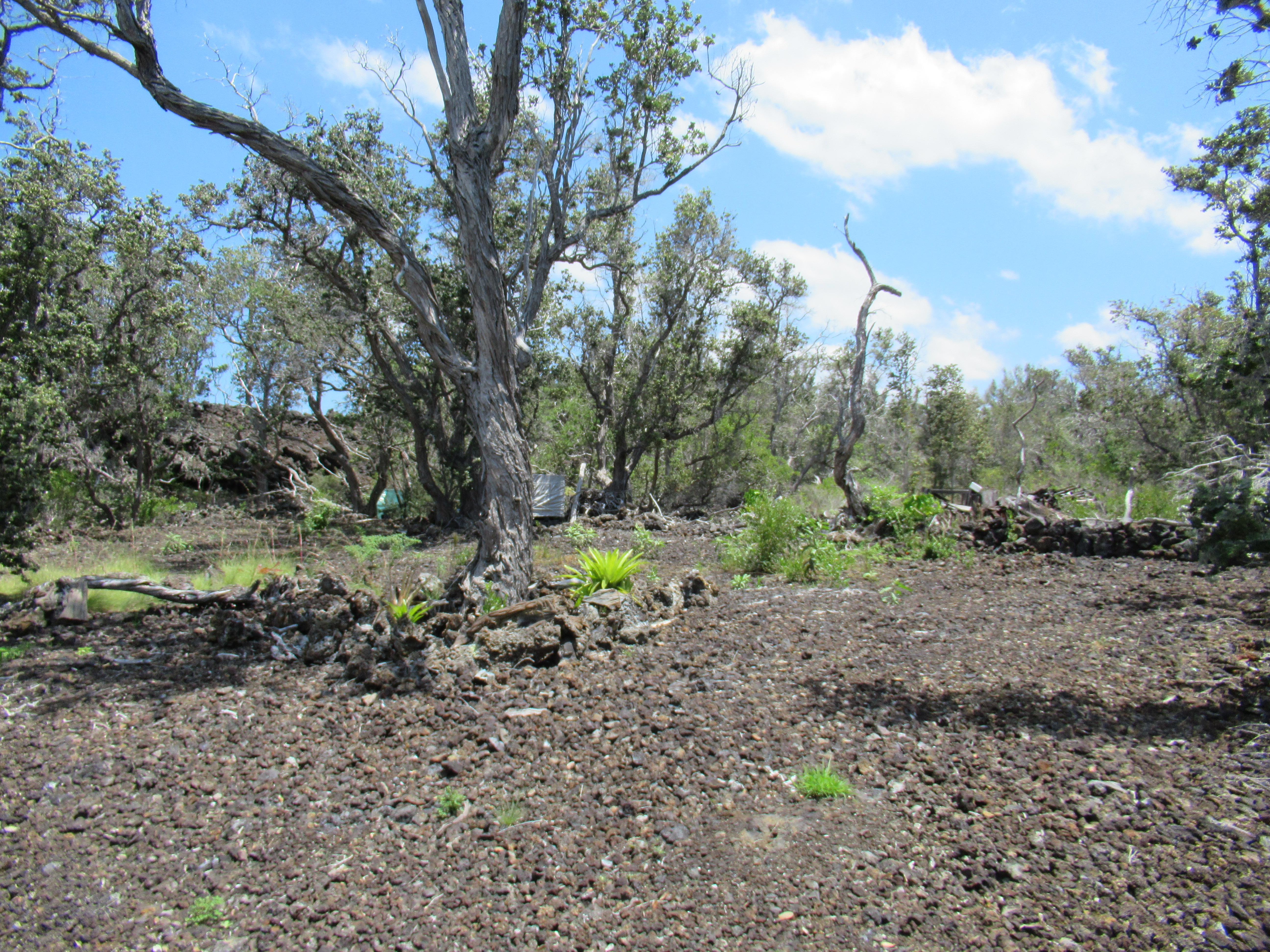 Kona Kai Blvd Property Photo 6