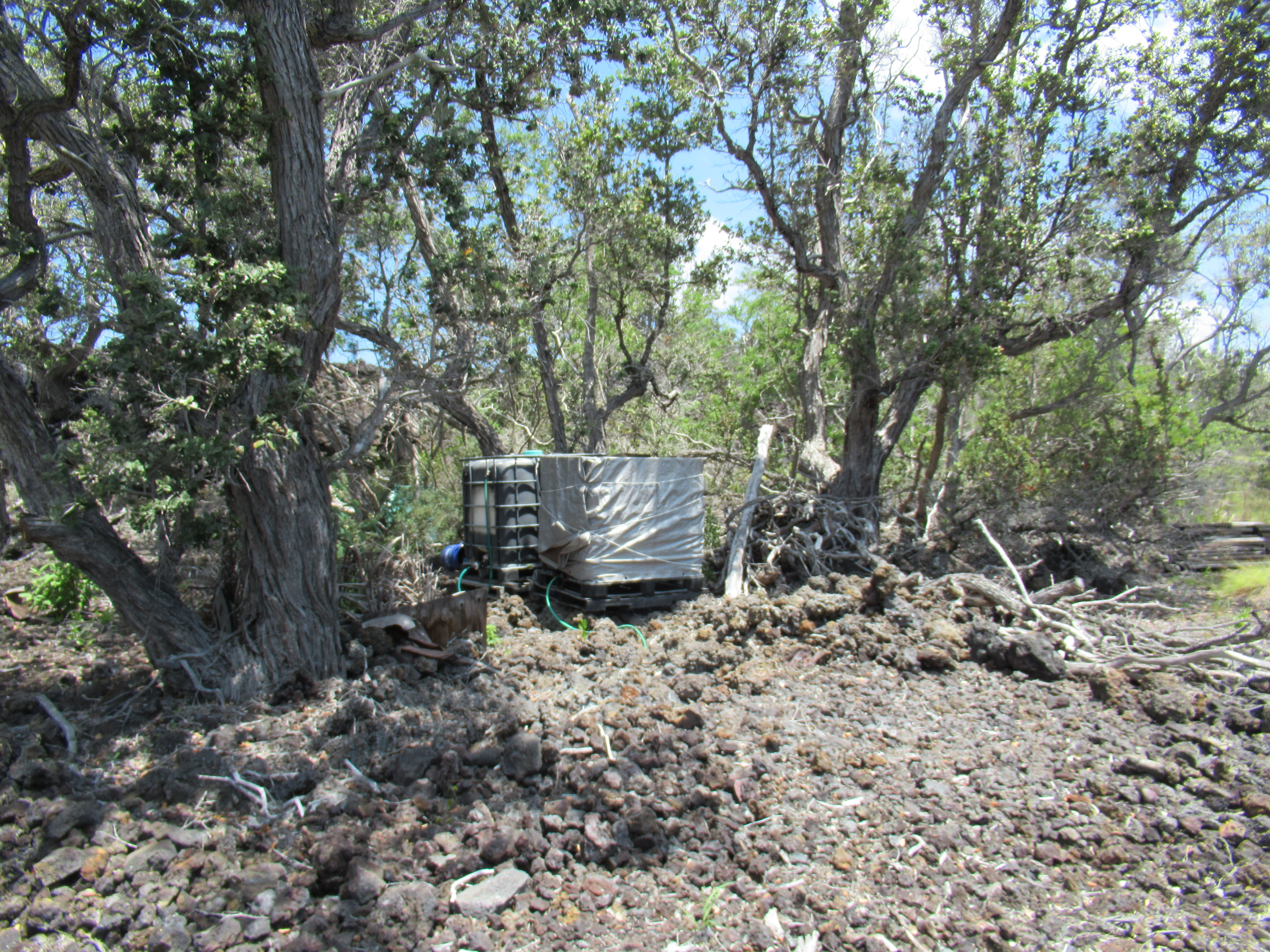 Kona Kai Blvd Property Photo 8