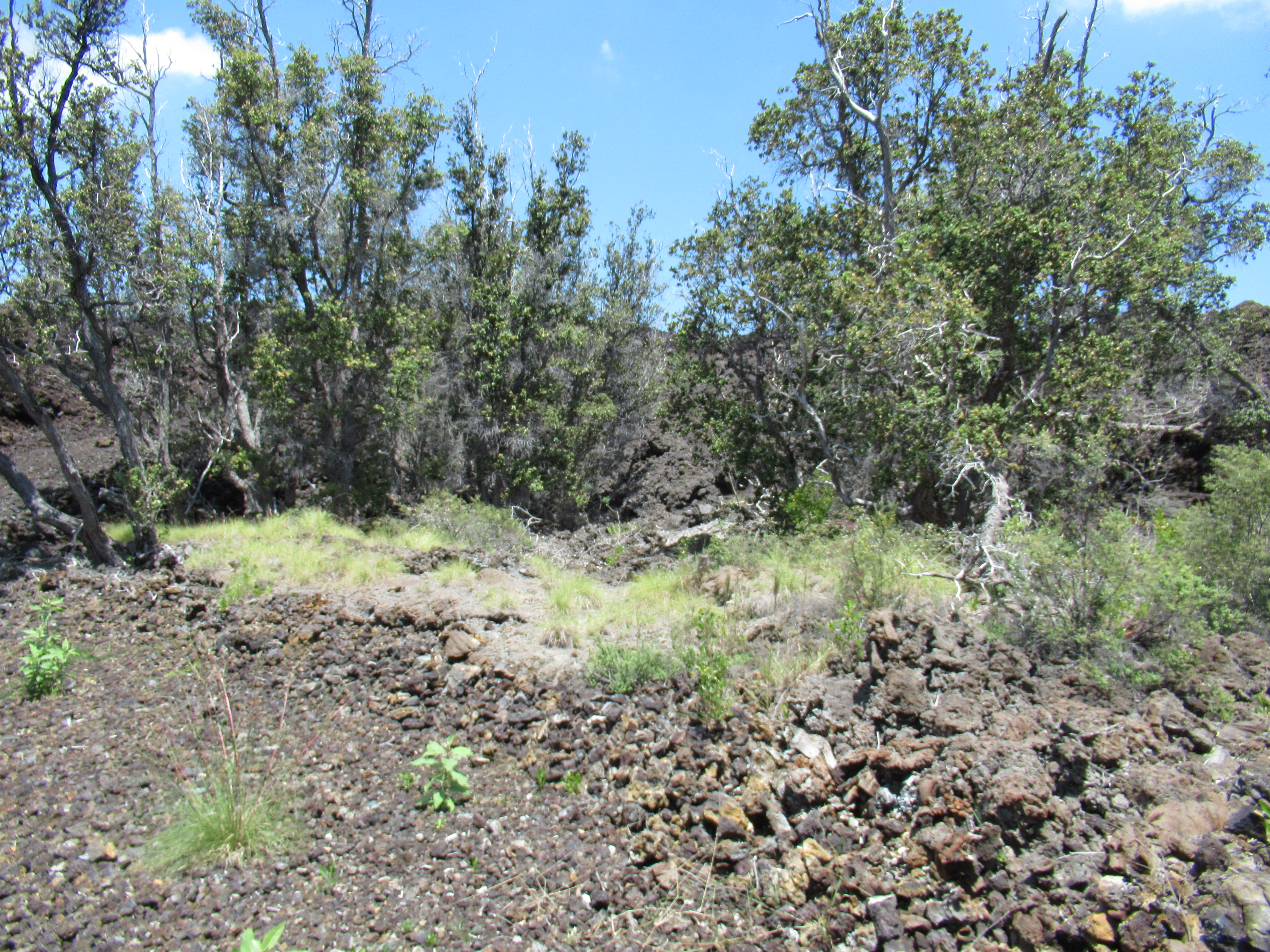 Kona Kai Blvd Property Photo 11