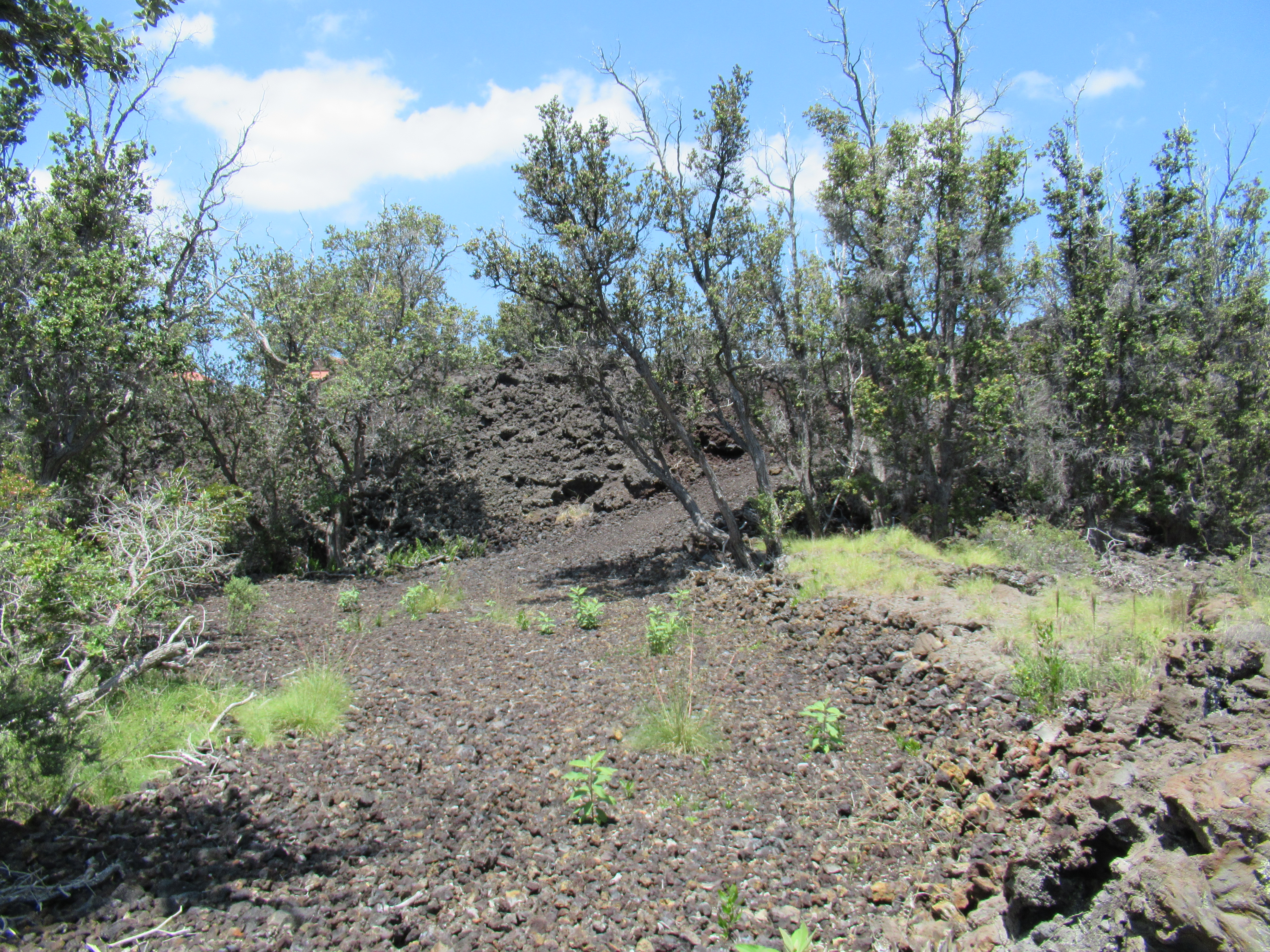 Kona Kai Blvd Property Photo 12