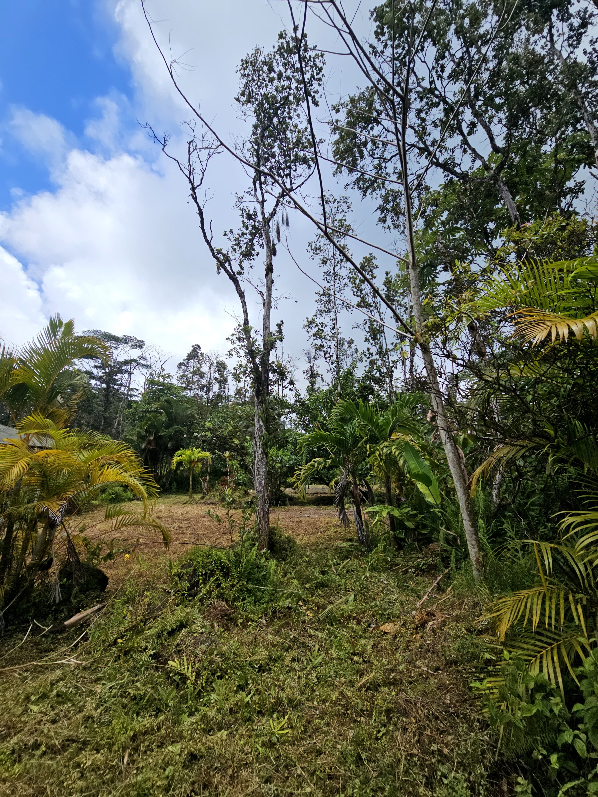 Kona Rd Property Photo 4