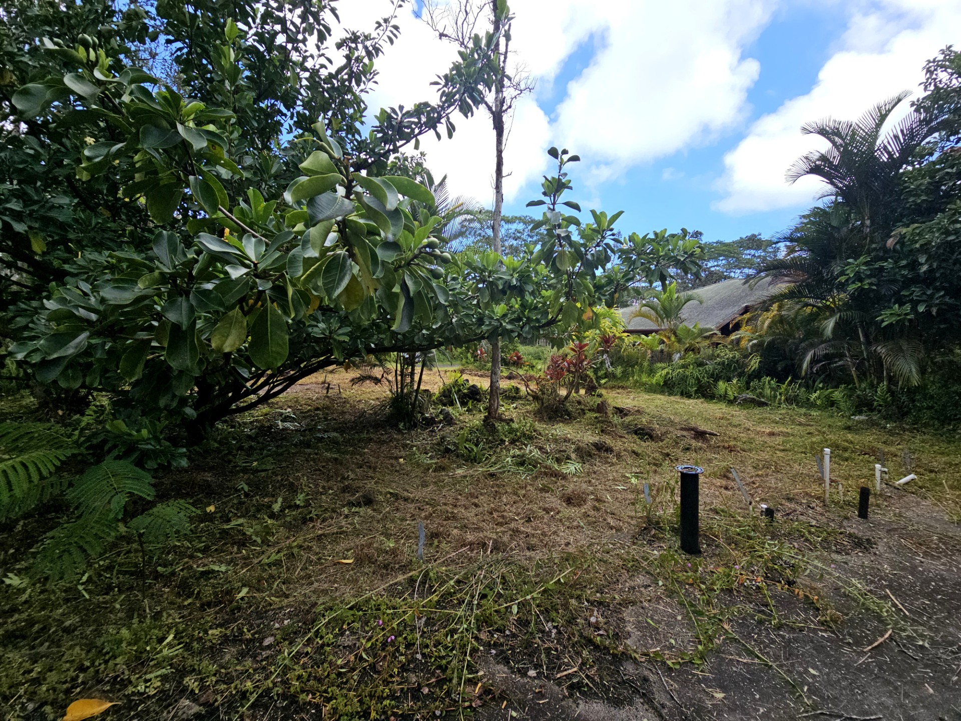Kona Rd Property Photo 5
