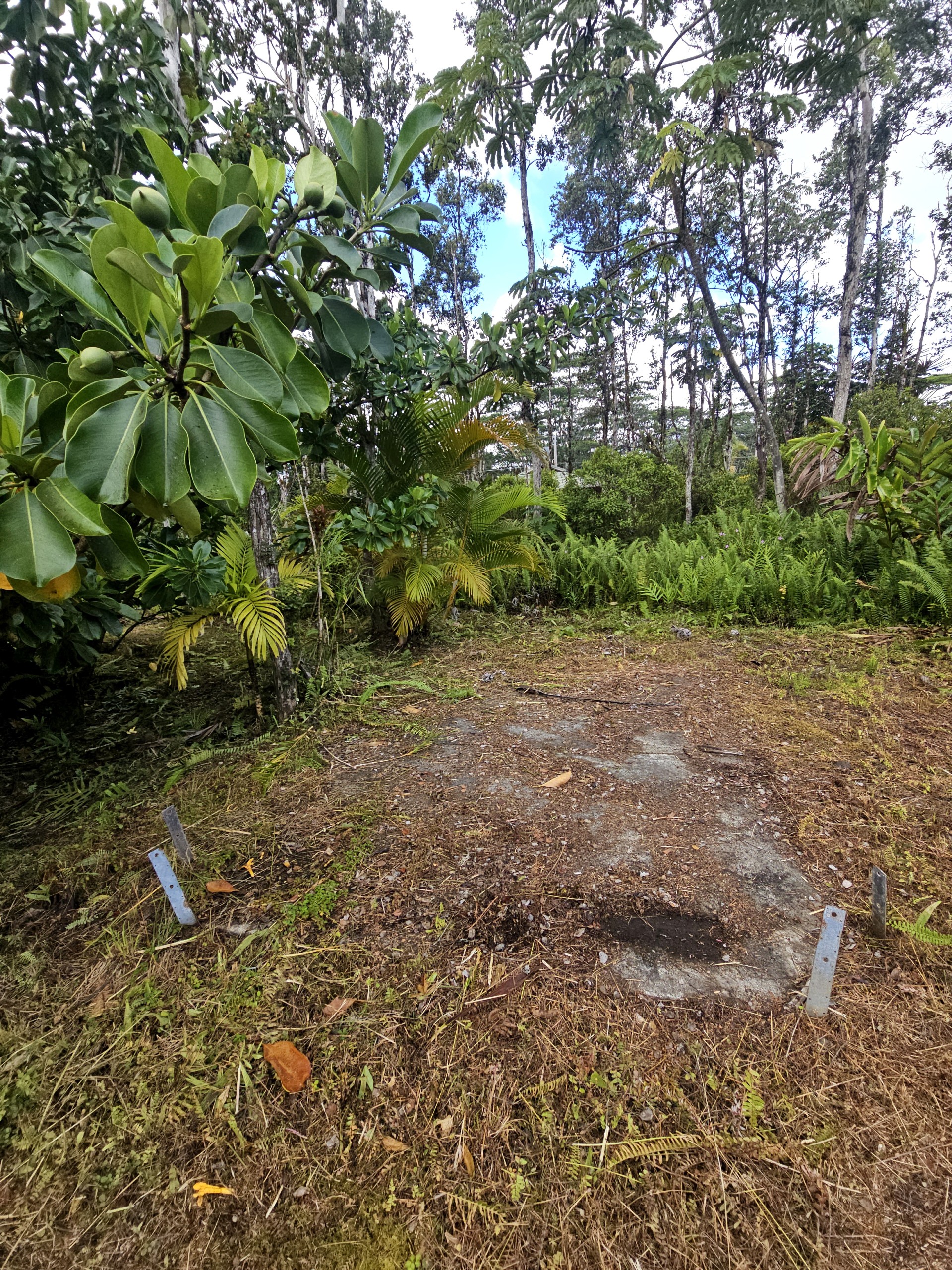 Kona Rd Property Photo 6