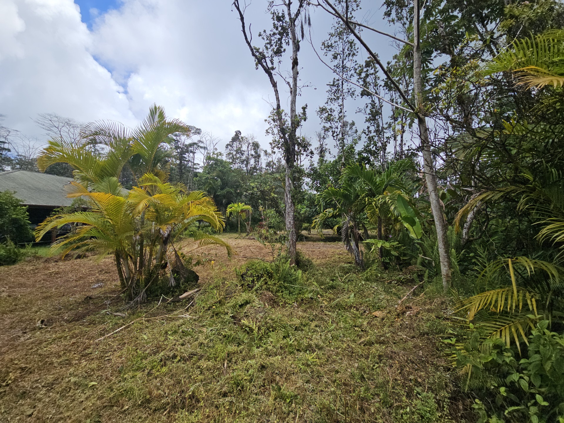 Kona Rd Property Photo 7
