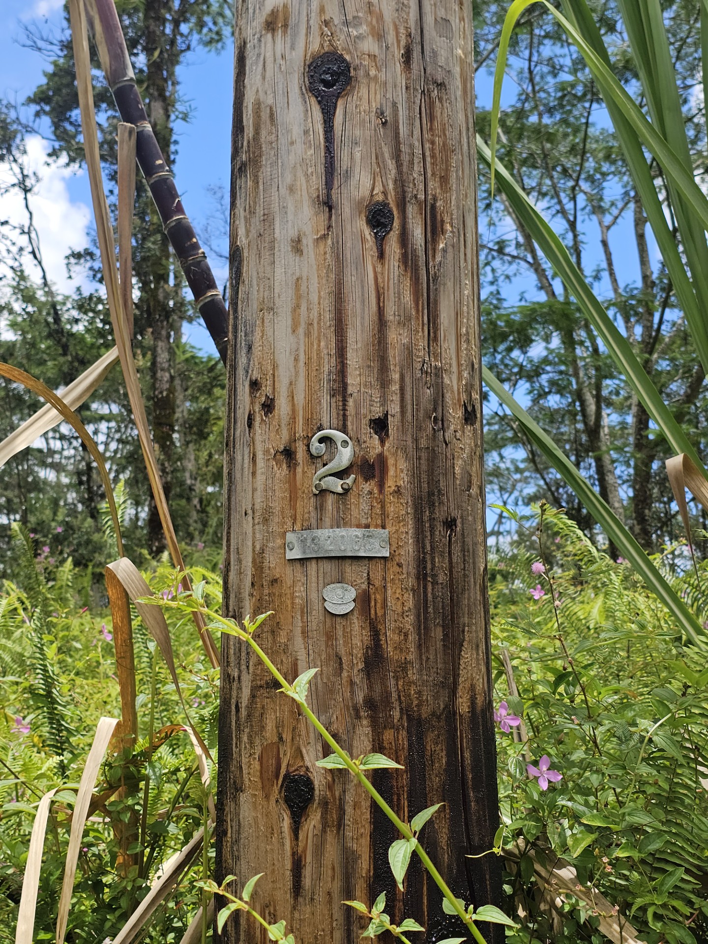 Kona Rd Property Photo 8