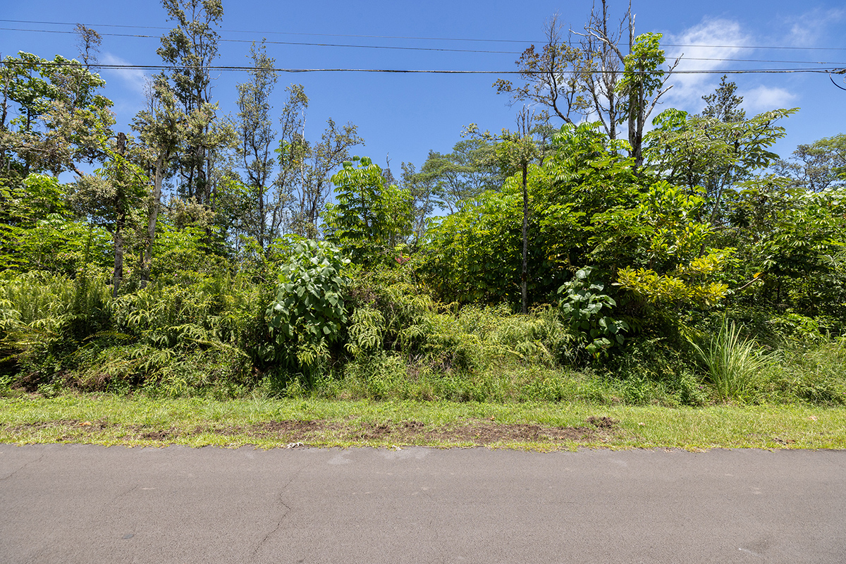 Kumu St Property Photo 3