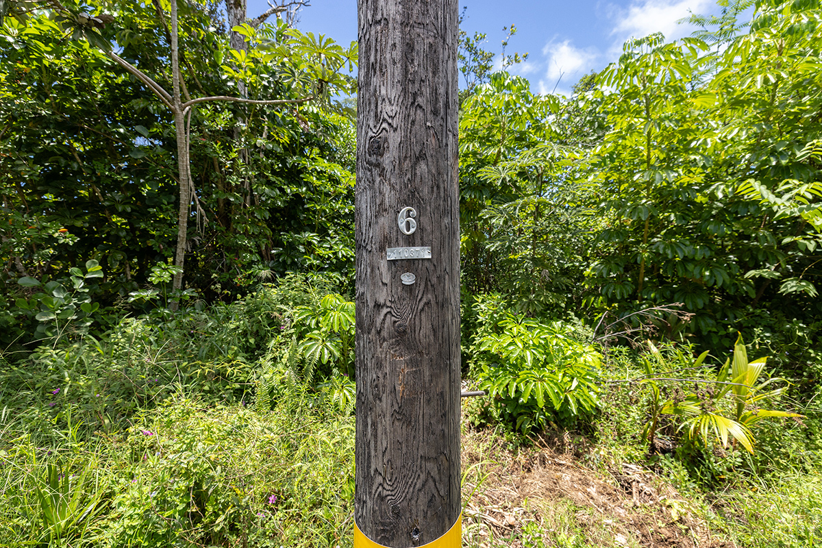 Kumu St Property Photo 5