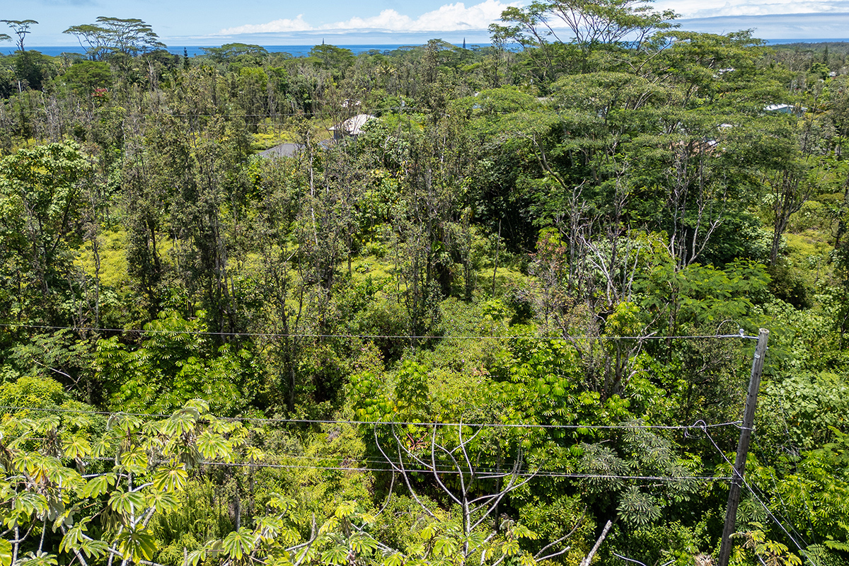 Kumu St Property Photo 6