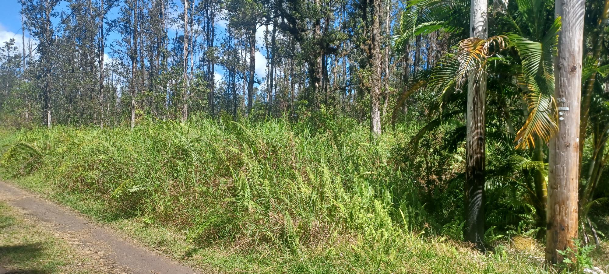 Road 6 (ooaa) Property Photo 2