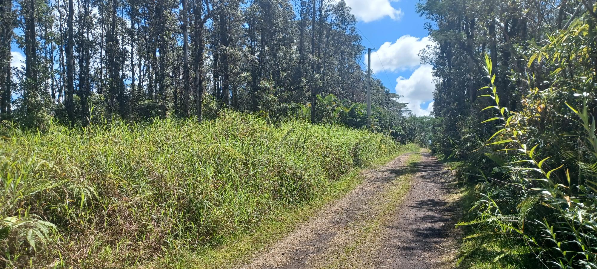 Road 6 (ooaa) Property Photo 4