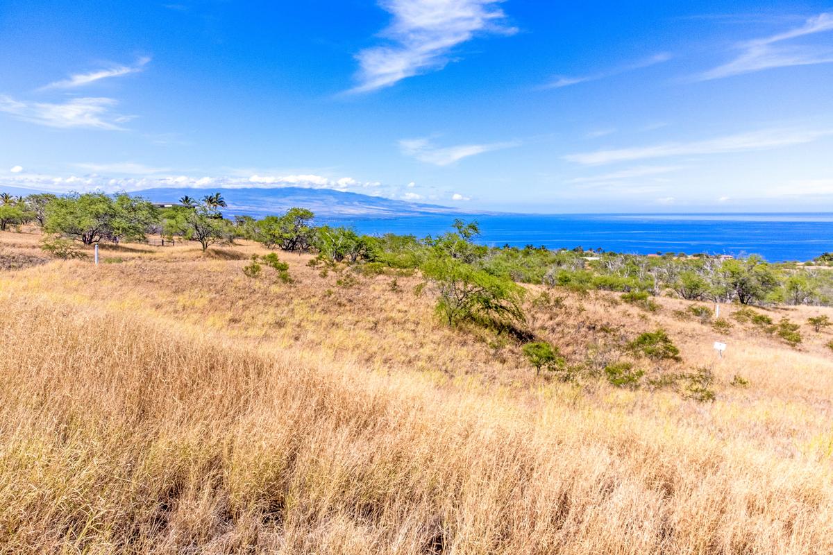 Hoopai Trail Property Photo 3