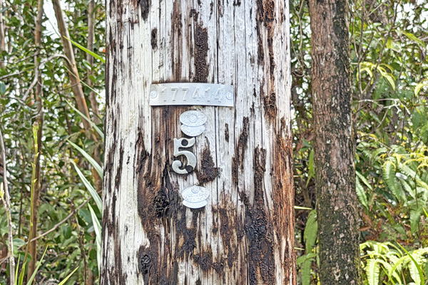Ohialani Rd Property Photo 4