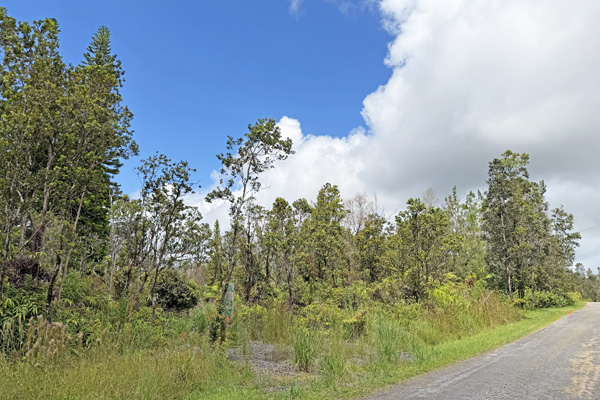 Ohialani Rd Property Photo 8