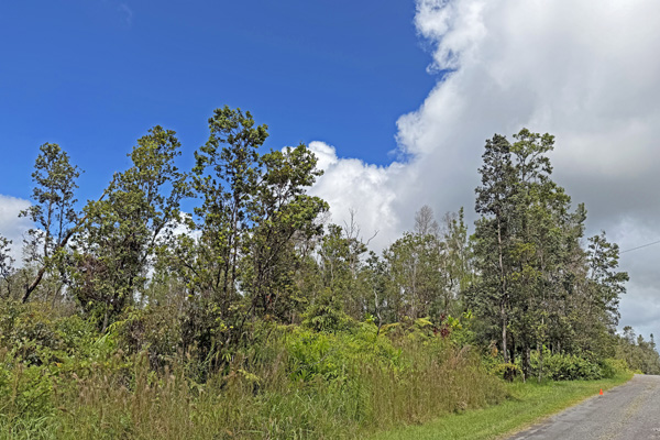 Ohialani Rd Property Photo 9