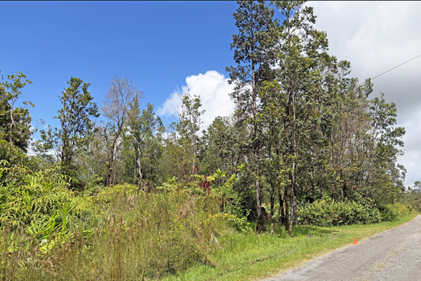 Ohialani Rd Property Photo 15