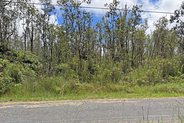 Ohialani Rd Property Photo 18