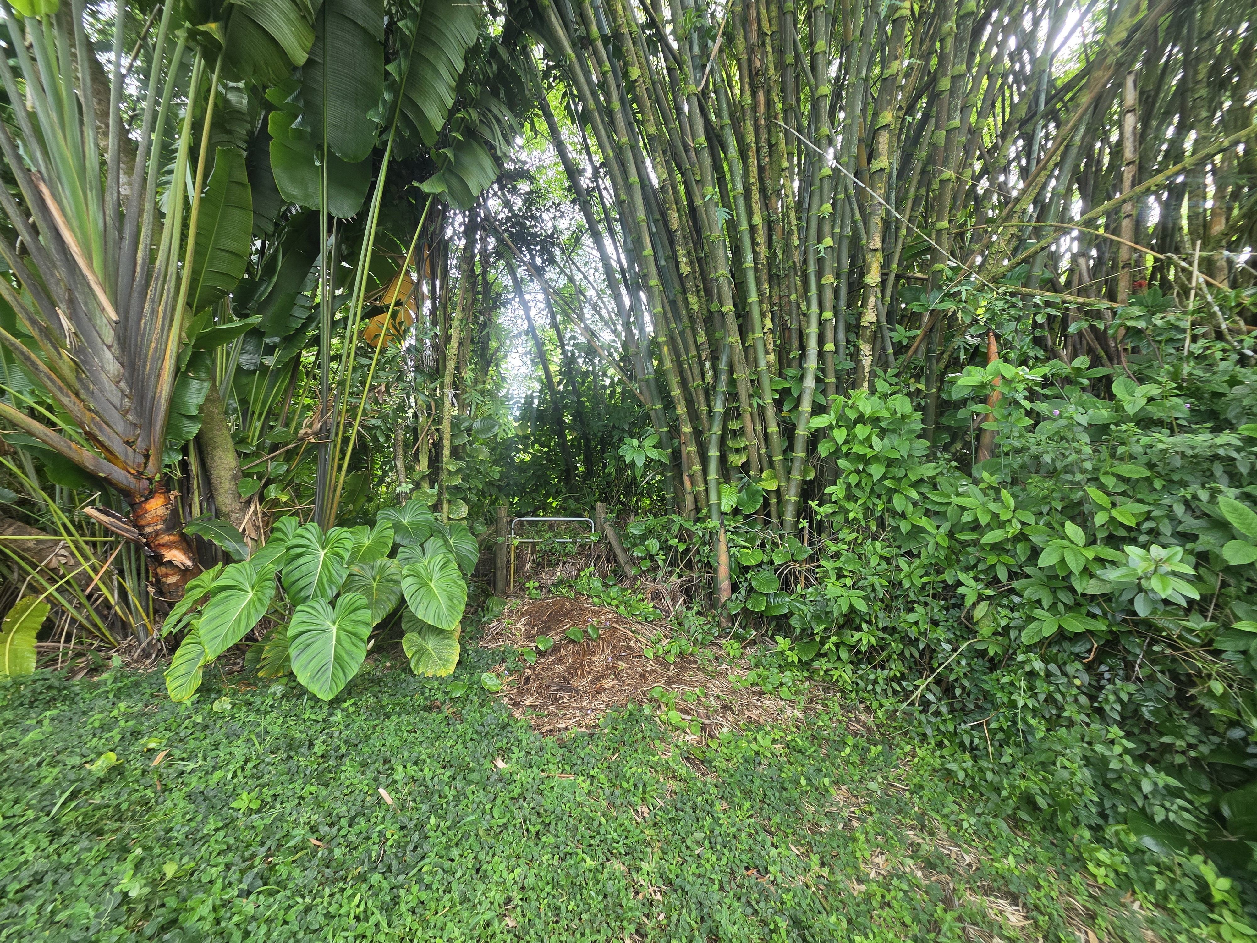 17-4013 Kuaaina Rd Property Photo 23