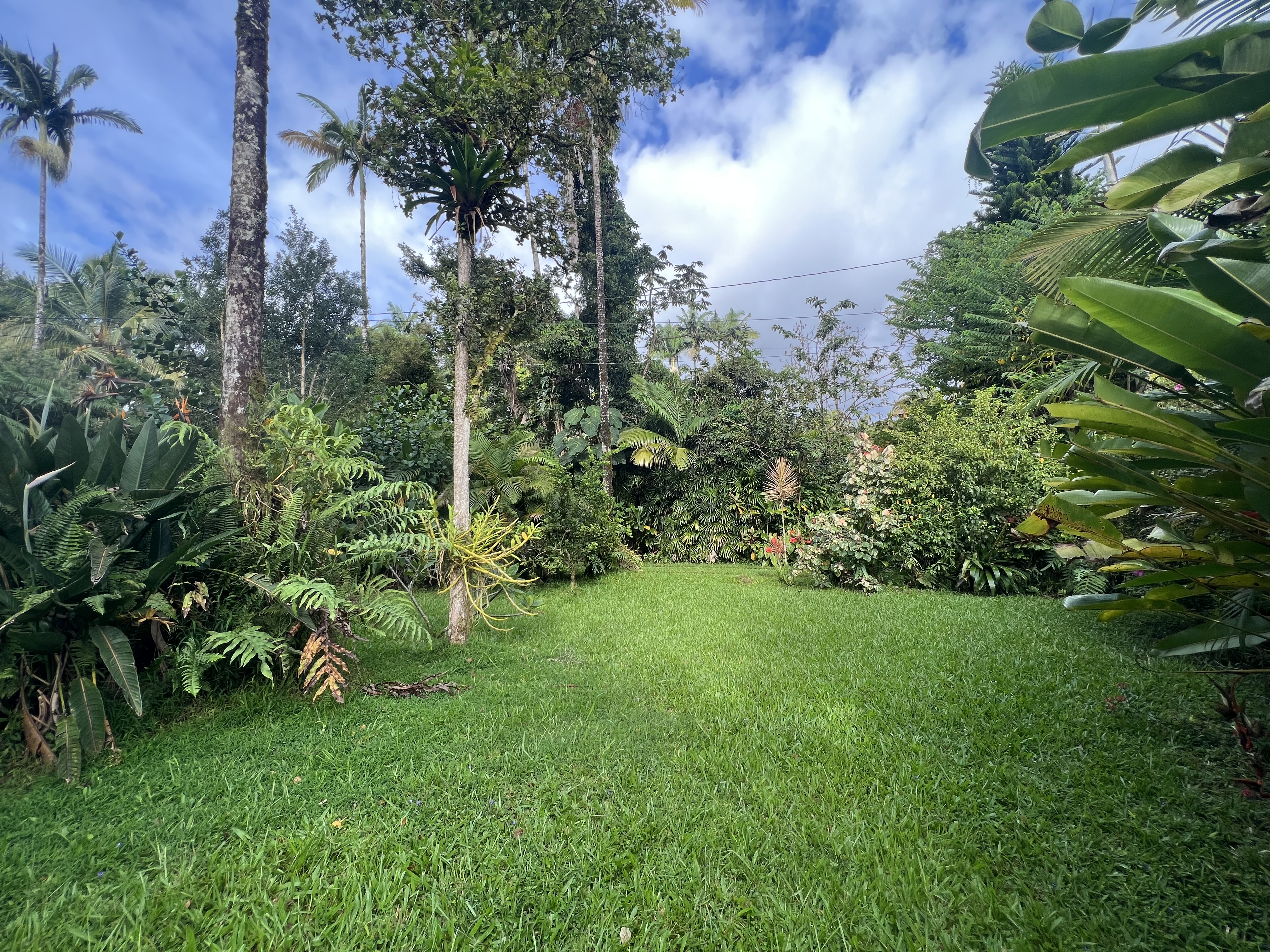 17-4013 Kuaaina Rd Property Photo 29