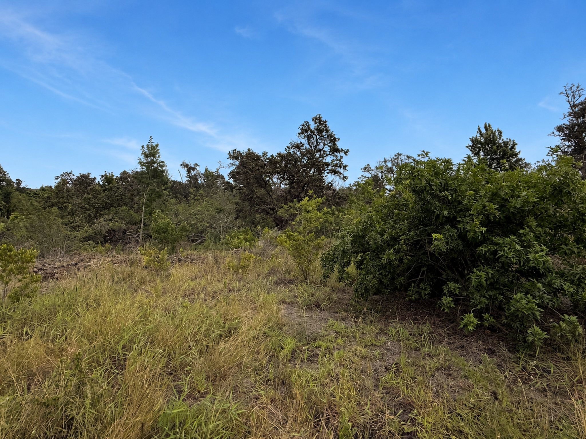 Walaka Dr Property Photo 2