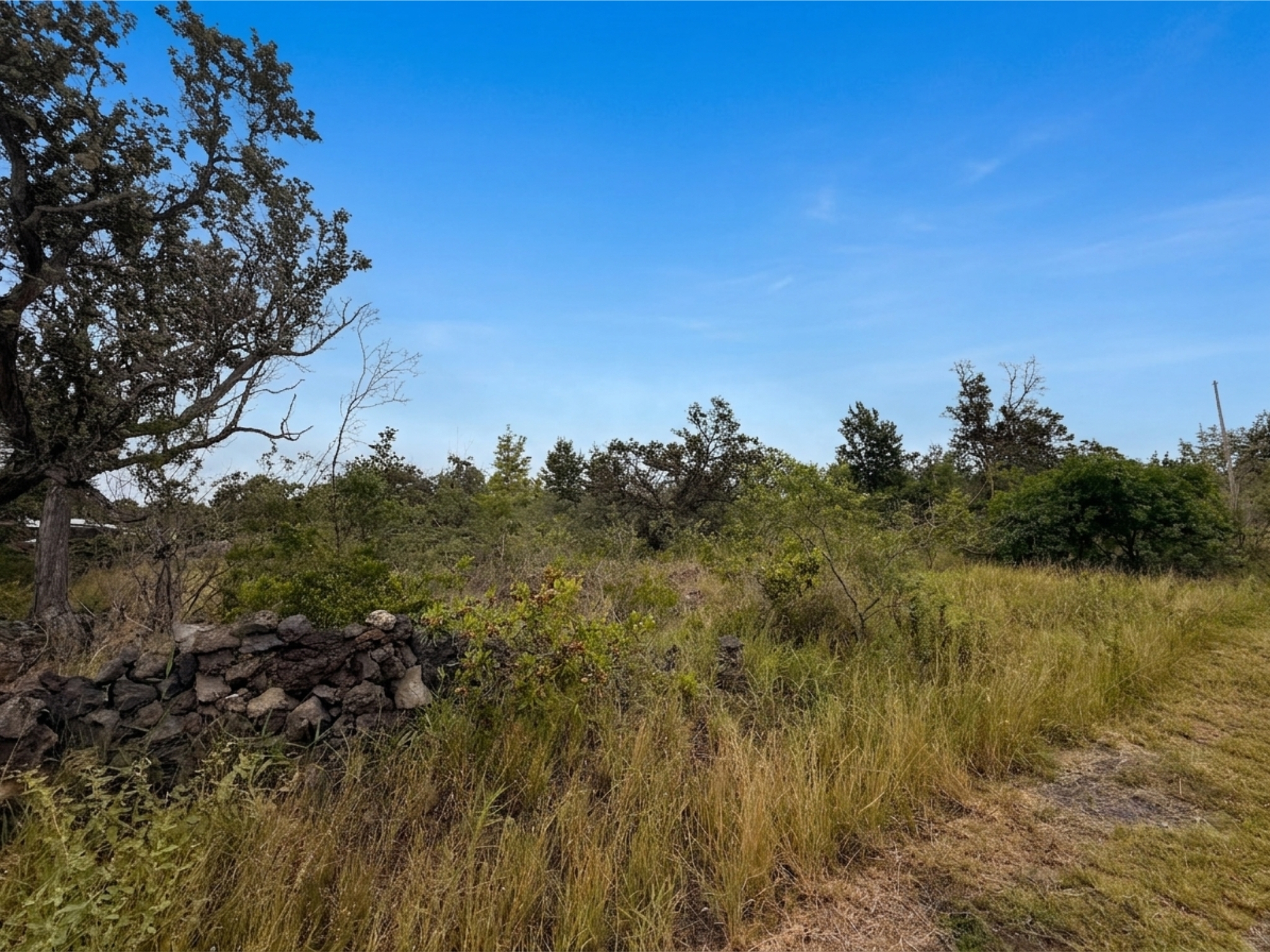 Walaka Dr Property Photo 3