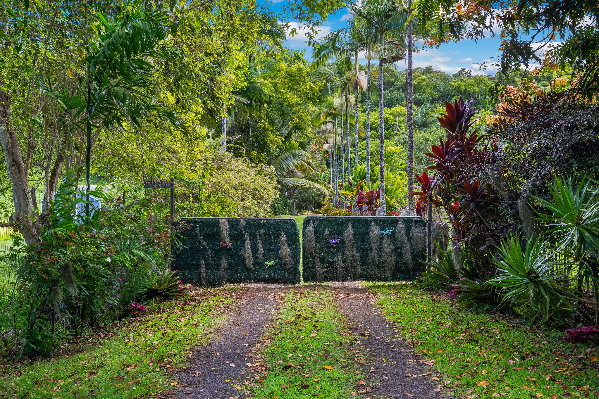 5245-a Kaehulua Rd Property Photo 17