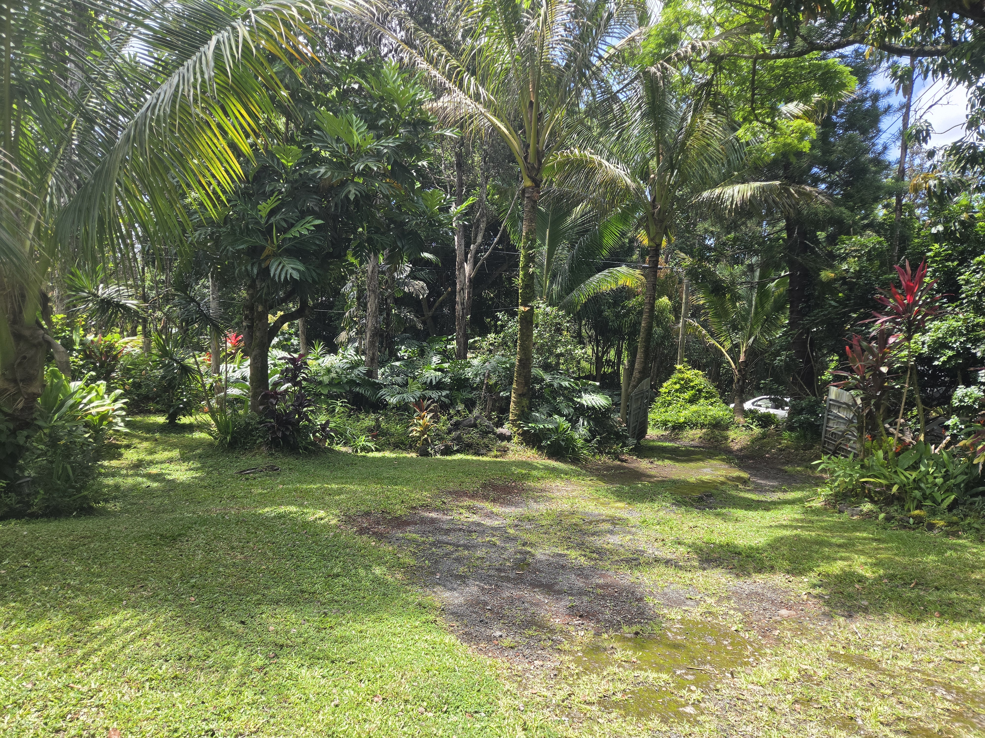 12-4346 Puna St Property Photo 12